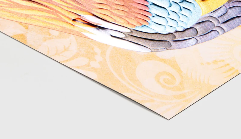 Foil stamping detail on premium packaging